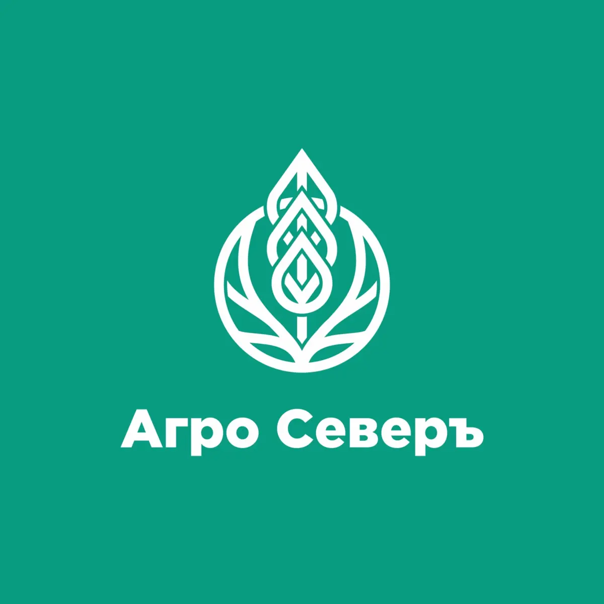 Хвойный квас